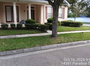 Marquerite S.'s lawn care services service result