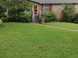 Joe A.'s lawn care service result