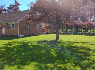 Sophia L.'s turf care service result