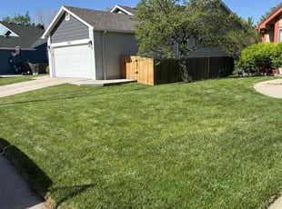 Tim B.'s turf maintenance service result