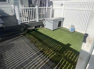 Michele C.'s turf care service result