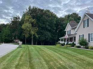 Jerry R.'s grass maintenance service result