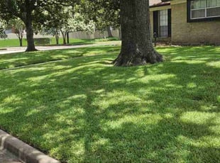 Robert M.'s lawn care service result