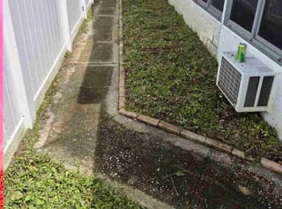 James P.'s Long Grass Cleanup service result