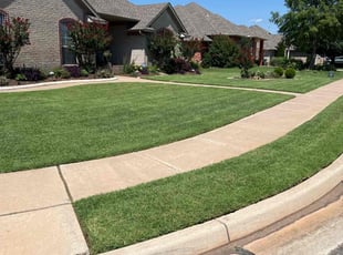 Patrick C.'s turf maintenance service result