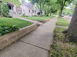 Chantel J.'s turf maintenance service result