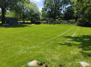 Sandra J.'s turf care service result
