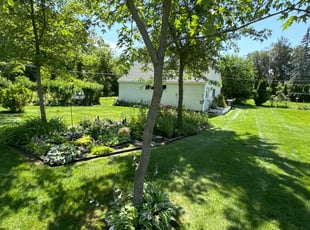Linda F.'s grass maintenance service result
