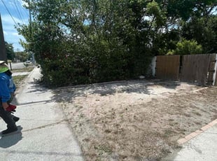 Nazia A.'s Bush Trimming service result