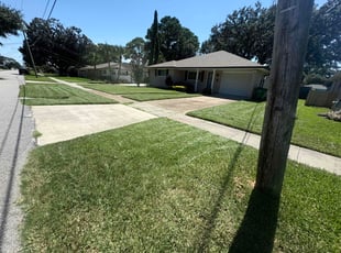 Scott B.'s turf care service result