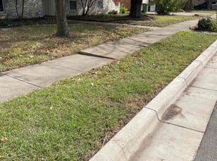 Carl G.'s lawn service service result