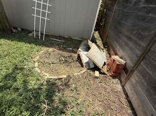 Nancy L.'s Cleanups service result