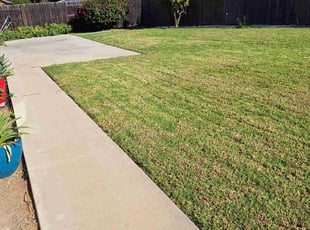 Richard L.'s lawn service service result