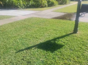 Stephen A.'s turf maintenance service result