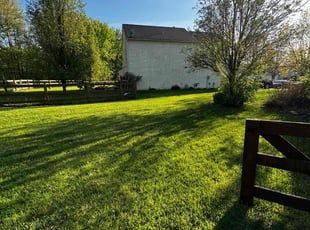 Misty B.'s lawn care service result
