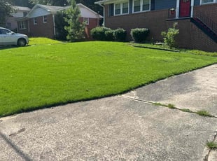 Linda O.'s lawn service service result