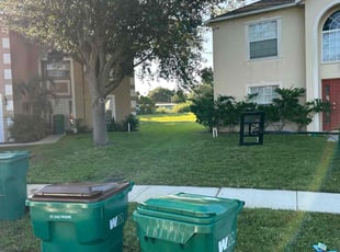 Randall C.'s turf maintenance service result