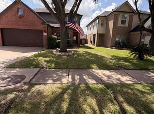 Manuel A.'s lawn maintenance service result