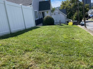 Edward A.'s grass maintenance service result