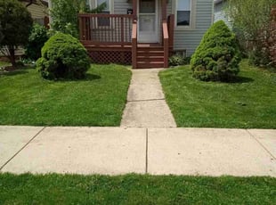 Davita H.'s lawn maintenance service result