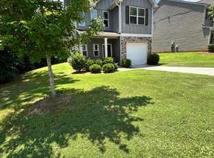 Veronica D.'s turf care service result