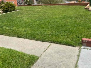 Renee C.'s turf maintenance service result