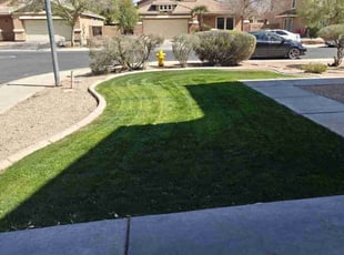 Kelly N.'s turf maintenance service result