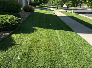 Aj J.'s lawn service service result
