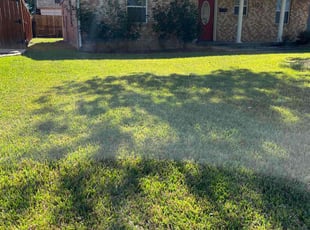Jenny D.'s lawn maintenance service result