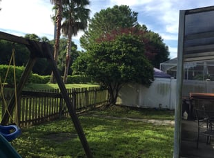 Martin P.'s Bush Trimming service result