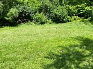 Richard T.'s lawn care services service result