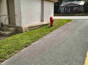 Leonardo L.'s lawn care services service result