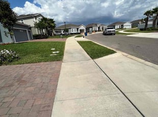 Travis A.'s lawn care services service result