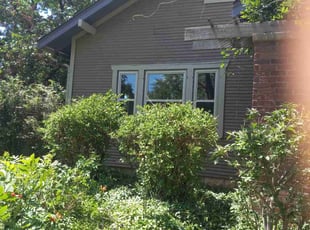 Shay S.'s Bush Trimming service result