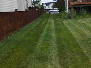 Rosalyn W.'s grass maintenance service result