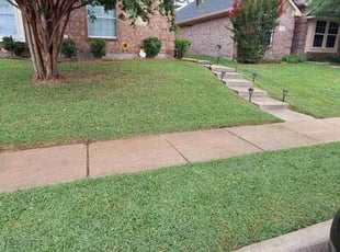 Kate G.'s turf maintenance service result