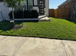 Paula E.'s lawn service service result