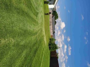 Justin E.'s turf care service result