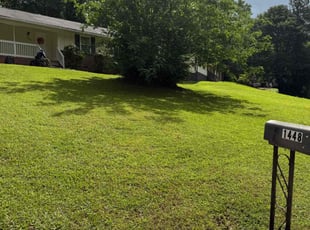 Menolly T.'s lawn care service result
