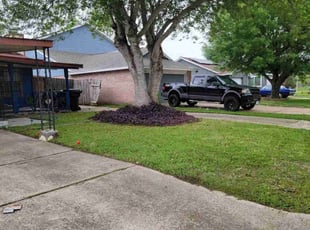 Eriq H.'s lawn care service result