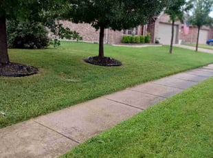 Bart S.'s turf care service result