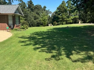 Nick W.'s lawn maintenance service result
