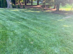 Hebbah S.'s lawn care services service result