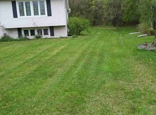 Jaclyn A.'s grass maintenance service result