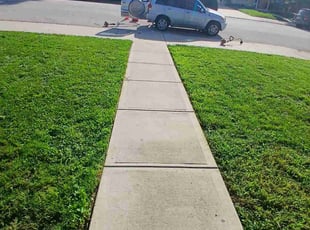Duane S.'s grass cutting service result
