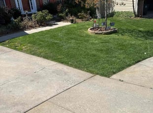 Sabrina S.'s lawn care services service result