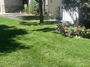 Dianne W.'s lawn care services service result