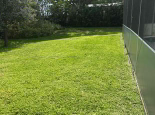 Daphne E.'s turf care service result