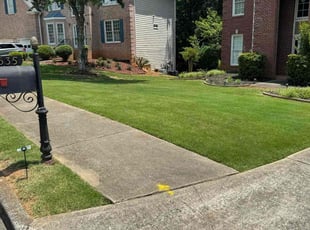 Keith W.'s lawn service service result