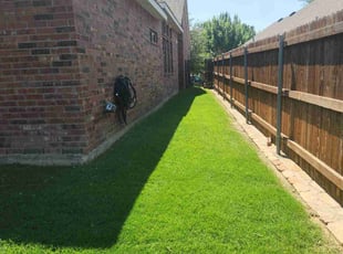 Lissa L.'s lawn care services service result
